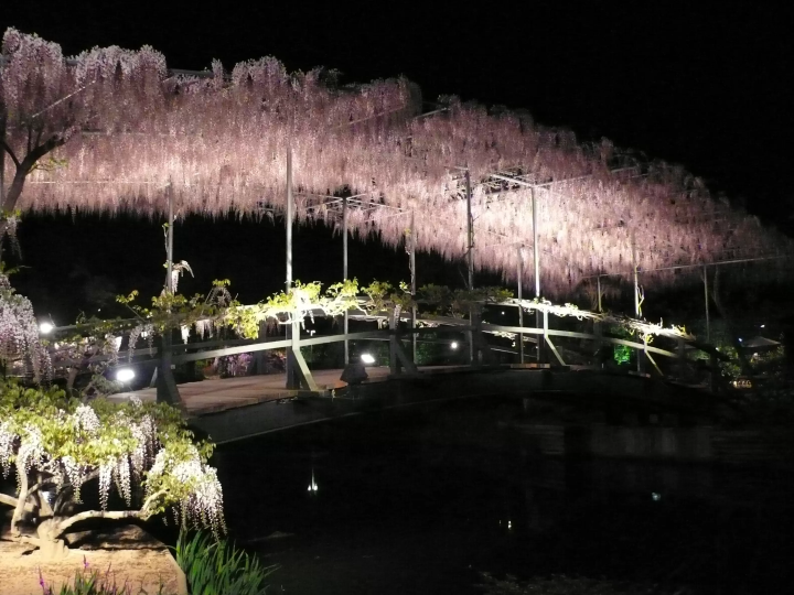 The beauty of Usubeni Bridge is like a scene from a movie  