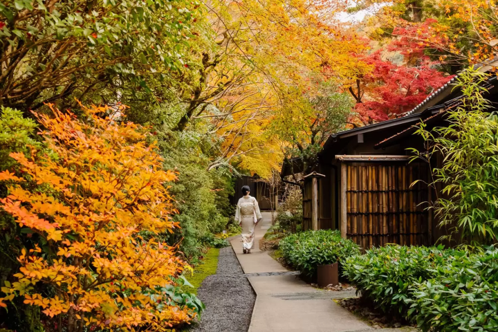 ล่องเรือเพลิดเพลินกับใบไม้เปลี่ยนสีที่ HOSHINOYA Kyoto สุดยอดประสบการณ์ในเกียวโต