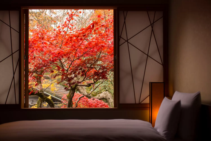 ล่องเรือเพลิดเพลินกับใบไม้เปลี่ยนสีที่ HOSHINOYA Kyoto สุดยอดประสบการณ์ในเกียวโต