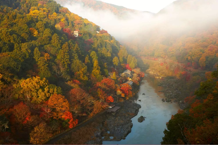 ล่องเรือเพลิดเพลินกับใบไม้เปลี่ยนสีที่ HOSHINOYA Kyoto สุดยอดประสบการณ์ในเกียวโต