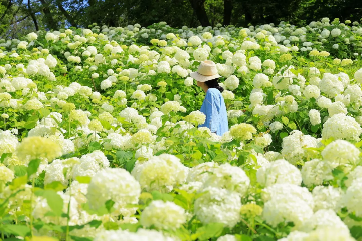 Tokyos Fairytale City, 10 Things To Do In Akiruno