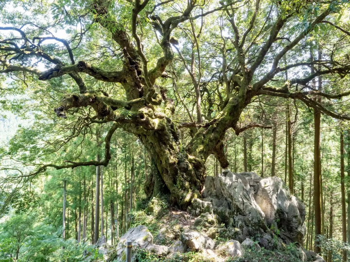 Tokyos Fairytale City, 10 Things To Do In Akiruno