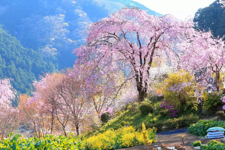 Tokyos Fairytale City, 10 Things To Do In Akiruno