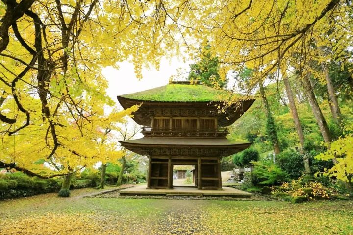 Tokyos Fairytale City, 10 Things To Do In Akiruno