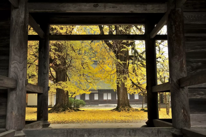 Tokyos Fairytale City, 10 Things To Do In Akiruno