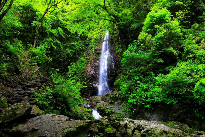 Tokyos Fairytale City, 10 Things To Do In Akiruno