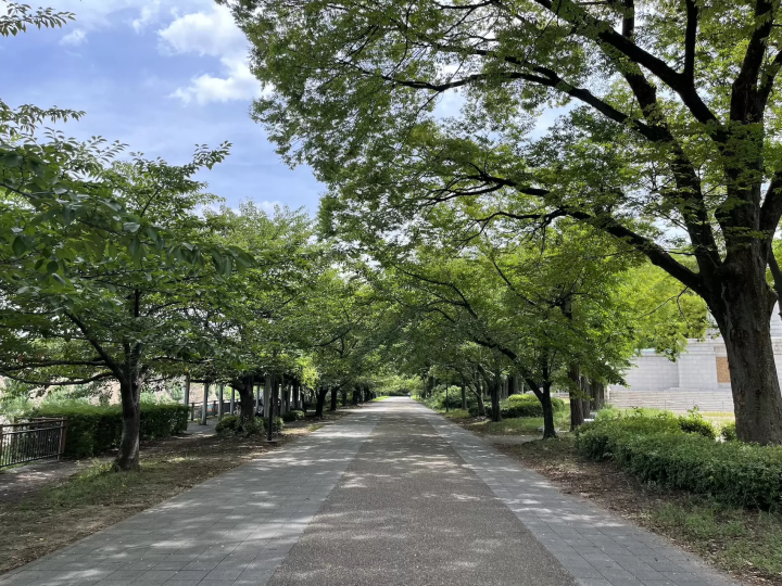 【大阪】大阪城公園をレンタルバイクで巡る！桜や紅葉が楽しめるサイクリングコース