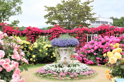 Ashikaga Flower Park and the four seasons