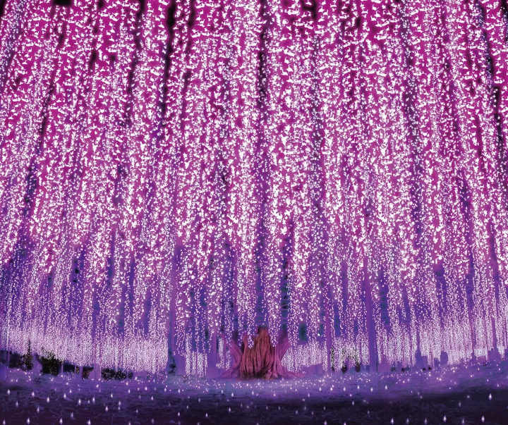 Ashikaga Flower Park and the four seasons