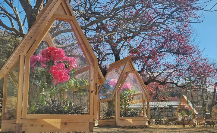 Ashikaga Flower Park and the four seasons