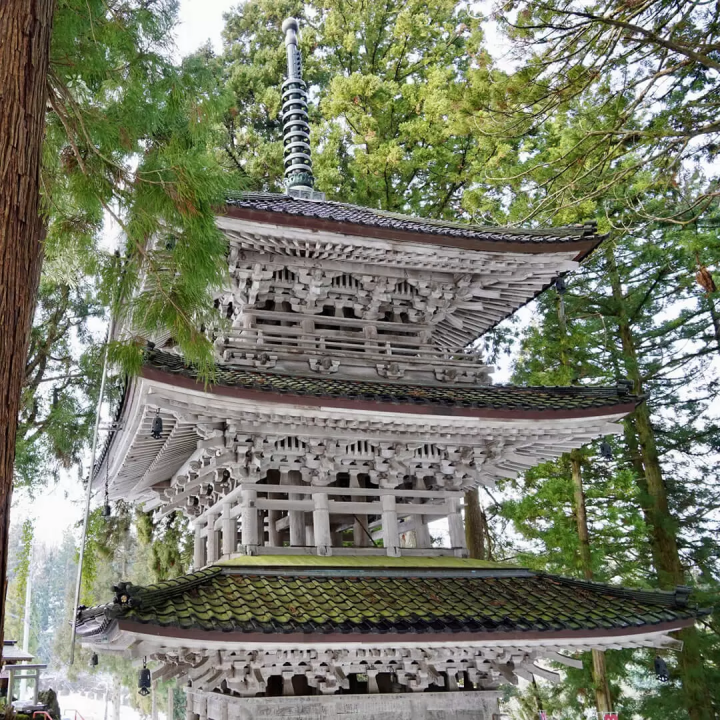 Sake brewery tours you absolutely must book in Japan in 2023