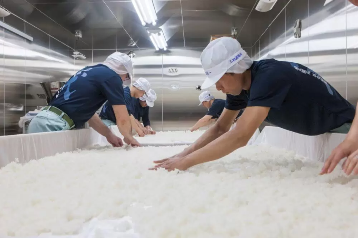 Sake brewery tours you absolutely must book in Japan in 2023