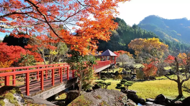 8 Amazing Autumn Tours to Take and See the Foliage
