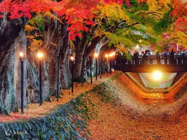 8 Amazing Autumn Tours to Take and See the Foliage