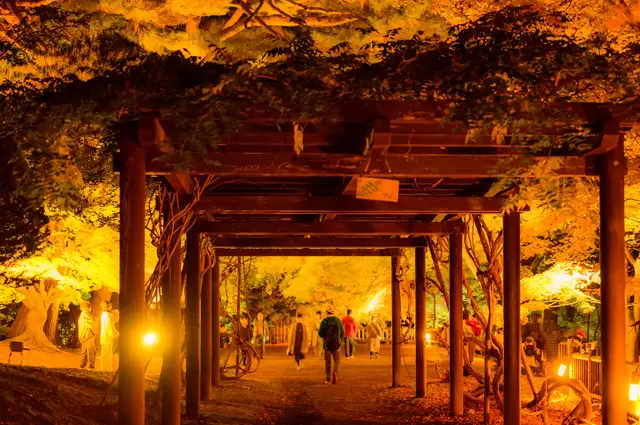 【2022年】全国紅葉カレンダー。紅葉のシーズン予想＆名所24選！