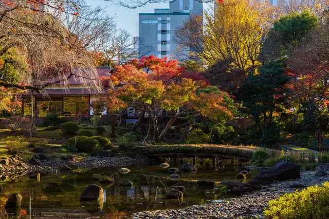 【2022年】全国紅葉カレンダー。紅葉のシーズン予想＆名所24選！