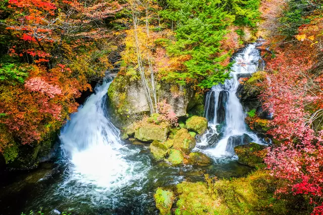 【2022年】全国紅葉カレンダー。紅葉のシーズン予想＆名所24選！