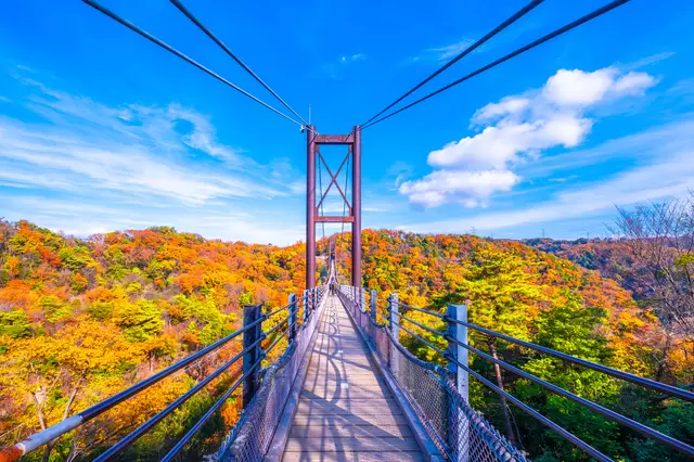 【2022年】全国紅葉カレンダー。紅葉のシーズン予想＆名所24選！