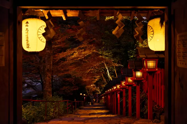 【2022年】全国紅葉カレンダー。紅葉のシーズン予想＆名所24選！