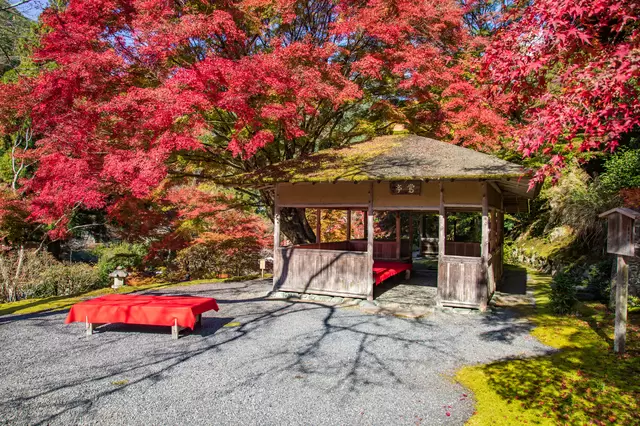 【2023年】全国紅葉カレンダー。紅葉のシーズン予想＆名所24選！