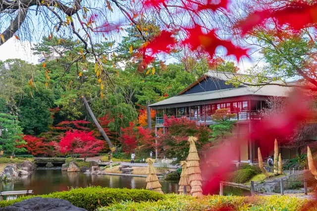 【2023年】全国紅葉カレンダー。紅葉のシーズン予想＆名所24選！