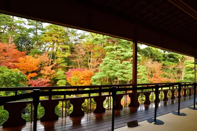 【2023年】全国紅葉カレンダー。紅葉のシーズン予想＆名所24選！