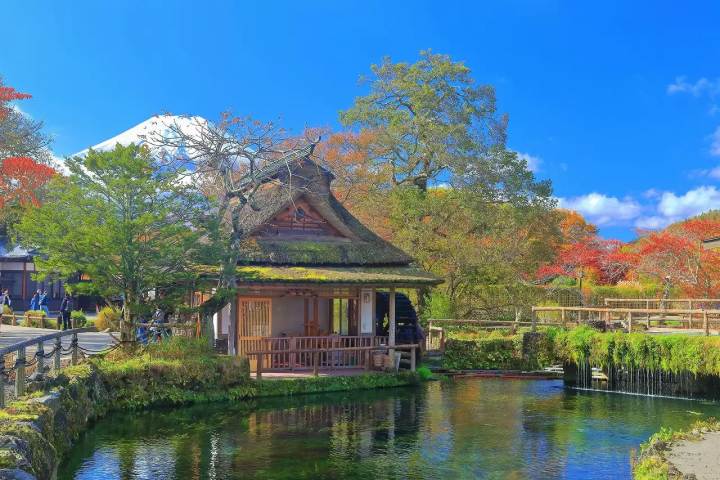 Mt. Fuji Fall Foliage: 10 Spectacular Locations