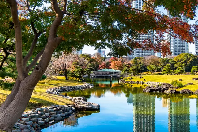 【2023年版】見ごろはいつ？ 東京のオススメ紅葉名所10選