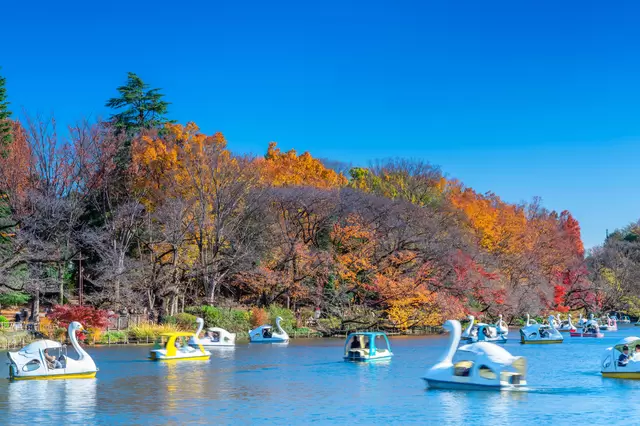 【2023年版】見ごろはいつ？ 東京のオススメ紅葉名所10選