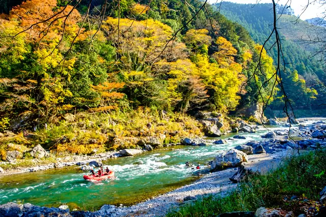 【2023年版】見ごろはいつ？ 東京のオススメ紅葉名所10選