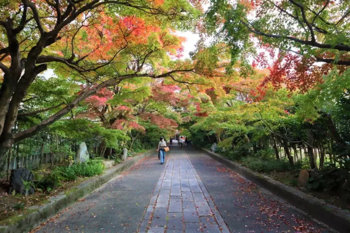 【山口】紅葉、絶品グルメを満喫！立ち寄りたいスポット９選