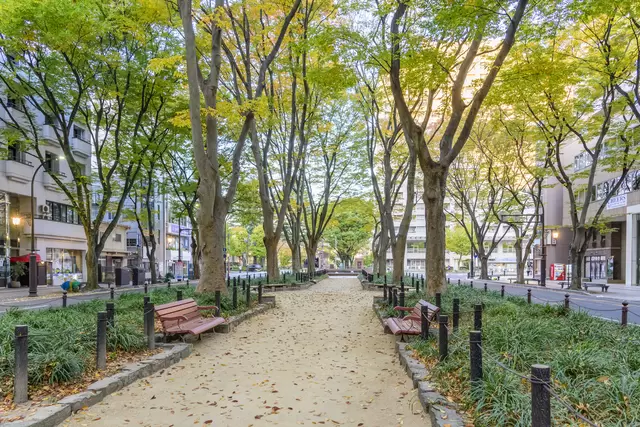 【2022年版】秋を楽しむ東北地方の紅葉名所10選！