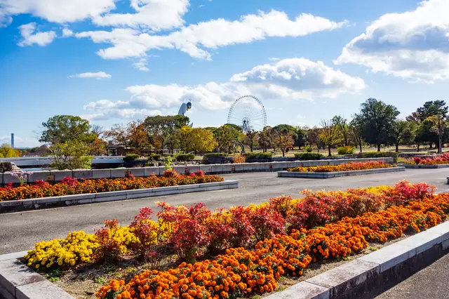 【2023年版】大阪で絶対行きたい紅葉スポット10選〜箕面公園・大阪城・大仙公園ほか〜