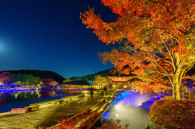 【2023年版】大阪で絶対行きたい紅葉スポット10選〜箕面公園・大阪城・大仙公園ほか〜