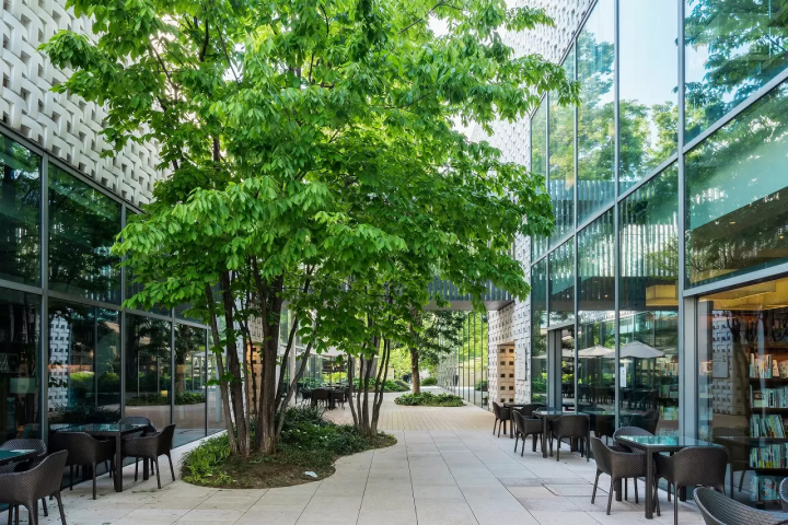 Tokyo's Stylish Daikanyama: 7 Coffee Shops and Places to Visit