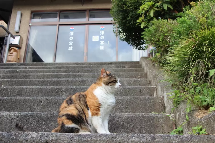 东北海岸“陆奥海风之路”推荐住宿（南三陆町）