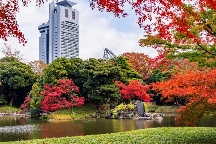 Tokyo Dome City: Amusement, Shopping, Dining, and More!