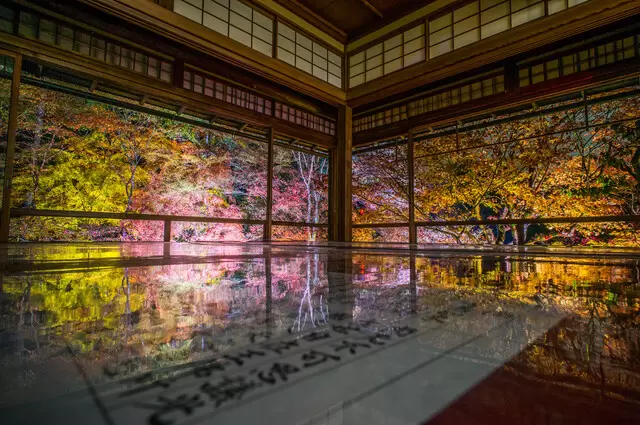 【2023年版】秋の京都を楽しもう！紅葉の見ごろとオススメ名所11選