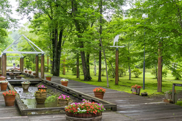 【2023年】輕井澤觀光攻略:交通、天氣、服裝,觀光景點12選