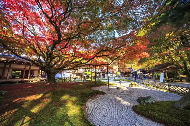 Car Rental Options at Fukuoka