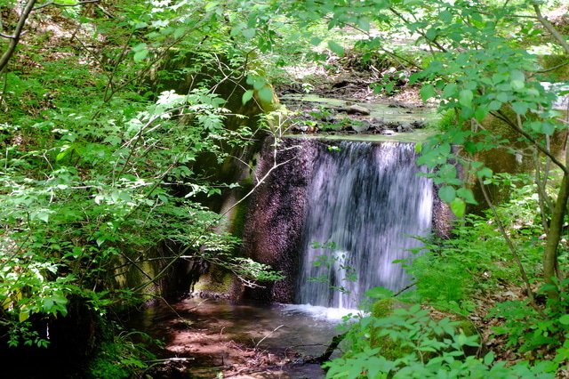 「輕井澤星野度假區 榆樹街小鎮」及周邊觀光13個推薦景點