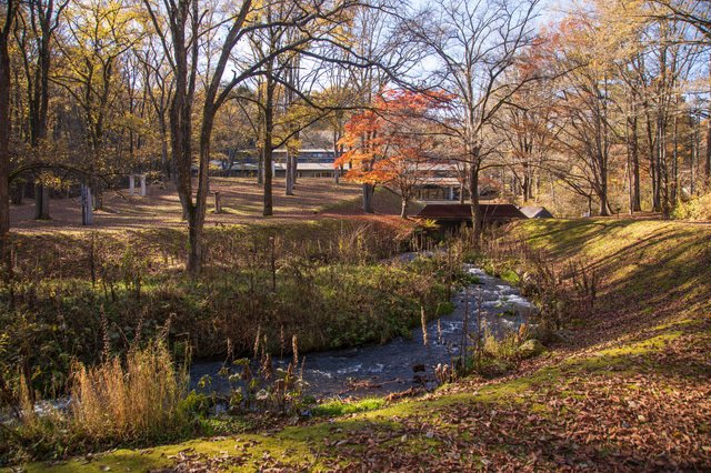 「輕井澤星野度假區 榆樹街小鎮」及周邊觀光13個推薦景點