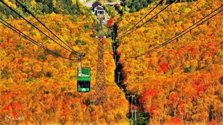 8 Amazing Autumn Tours to Take and See the Foliage