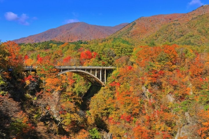 8 Amazing Autumn Tours to Take and See the Foliage