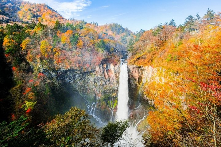 8 Amazing Autumn Tours to Take and See the Foliage