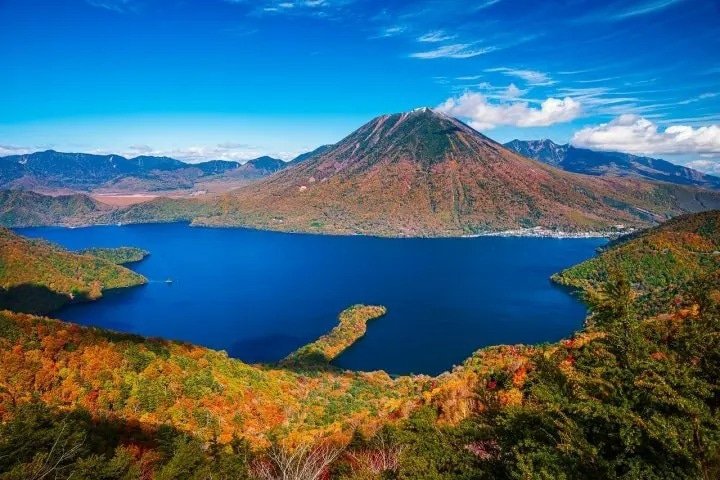 8 Amazing Autumn Tours to Take and See the Foliage