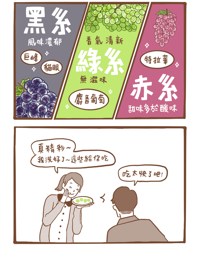 日本人氣葡萄品種 巨峰葡萄 麝香葡萄