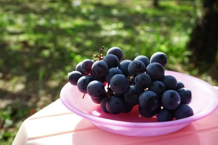 日本水果 山梨縣葡萄