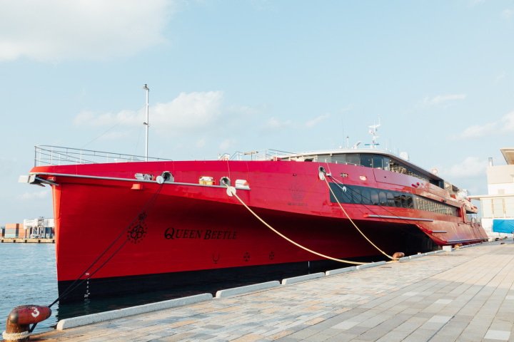 クイーンビートル