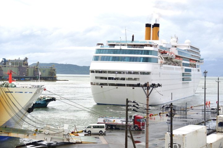 ニューカメリア